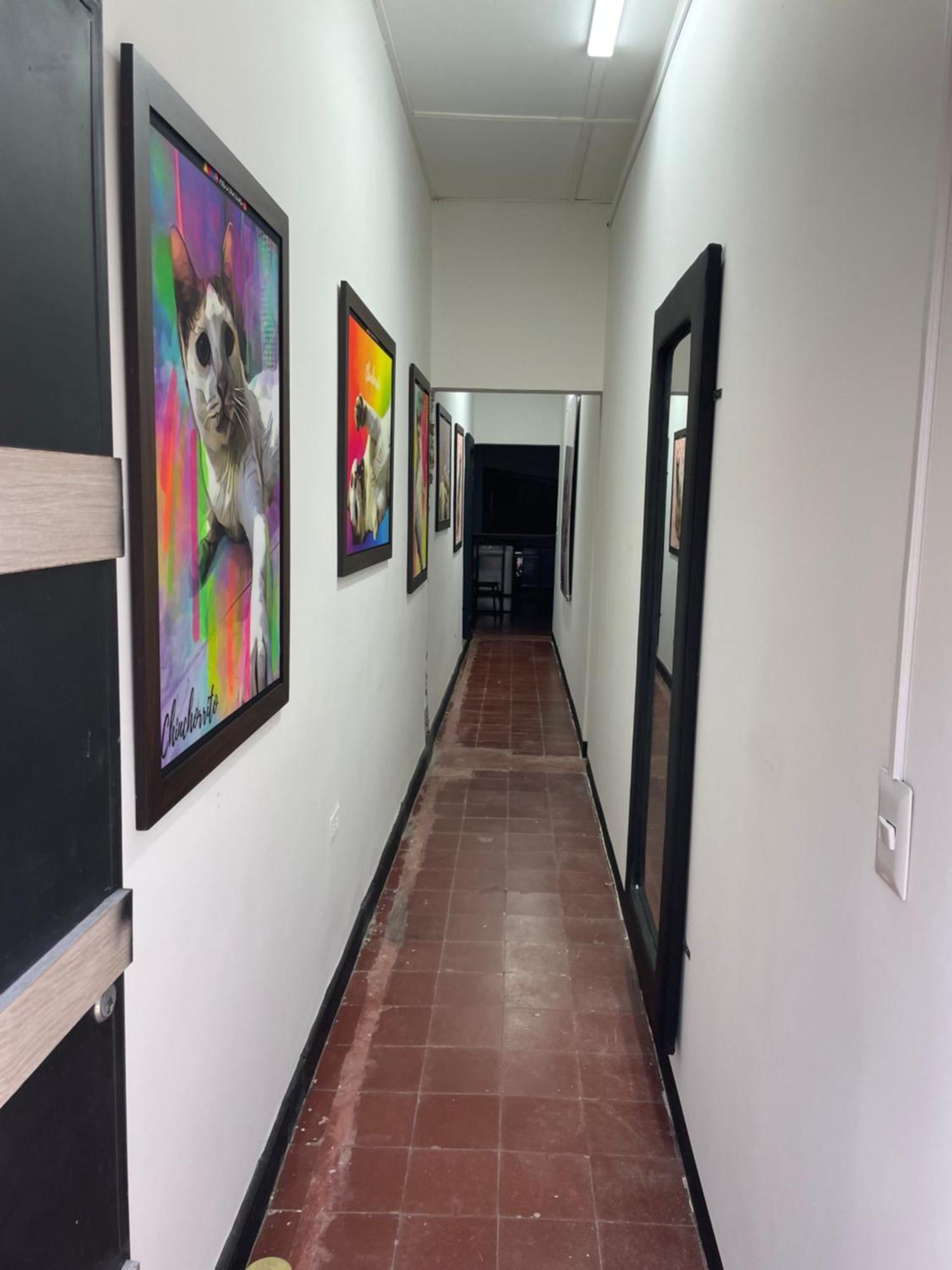 Hammocks - Hamacas Hostel Riohacha Exterior photo